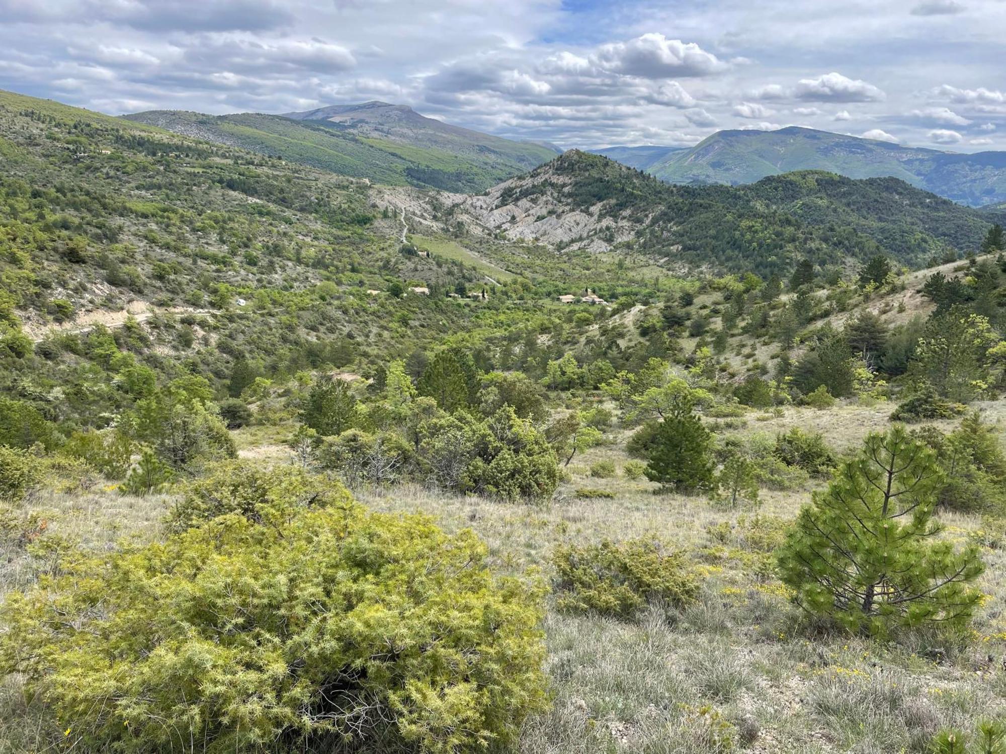 La Maison De Vergol Montbrun-les-Bains Eksteriør billede